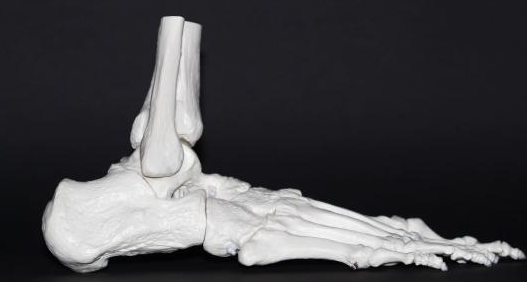 Zebra批准将3D打印用于骨科手术